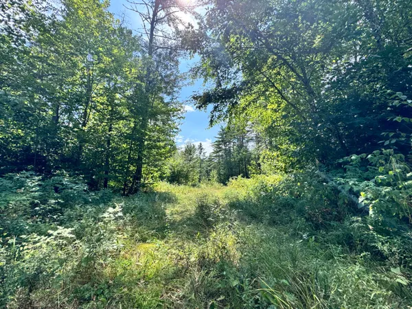 $799,000 | Map20-lot19 Carter Hill Road, Fryeburg, ME 04037