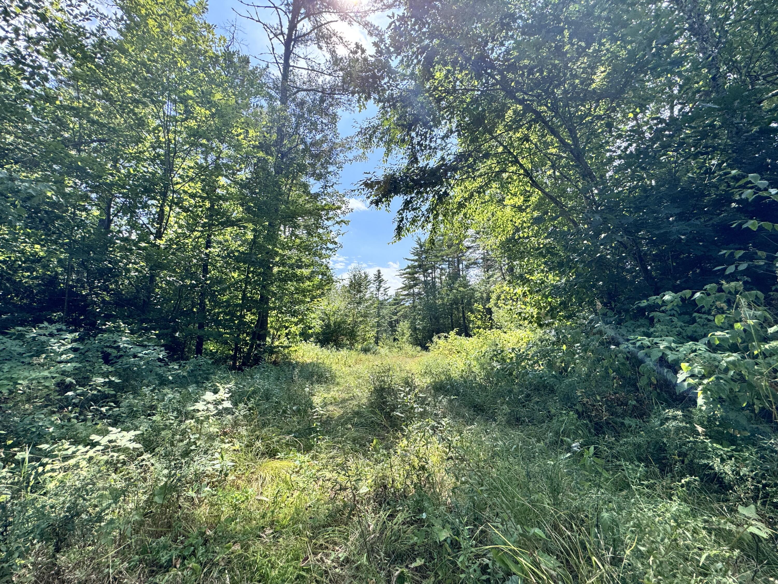 Map20-lot19 Carter Hill Road Fryeburg, ME 04037 - Photo 17 of 22 woods trail 4