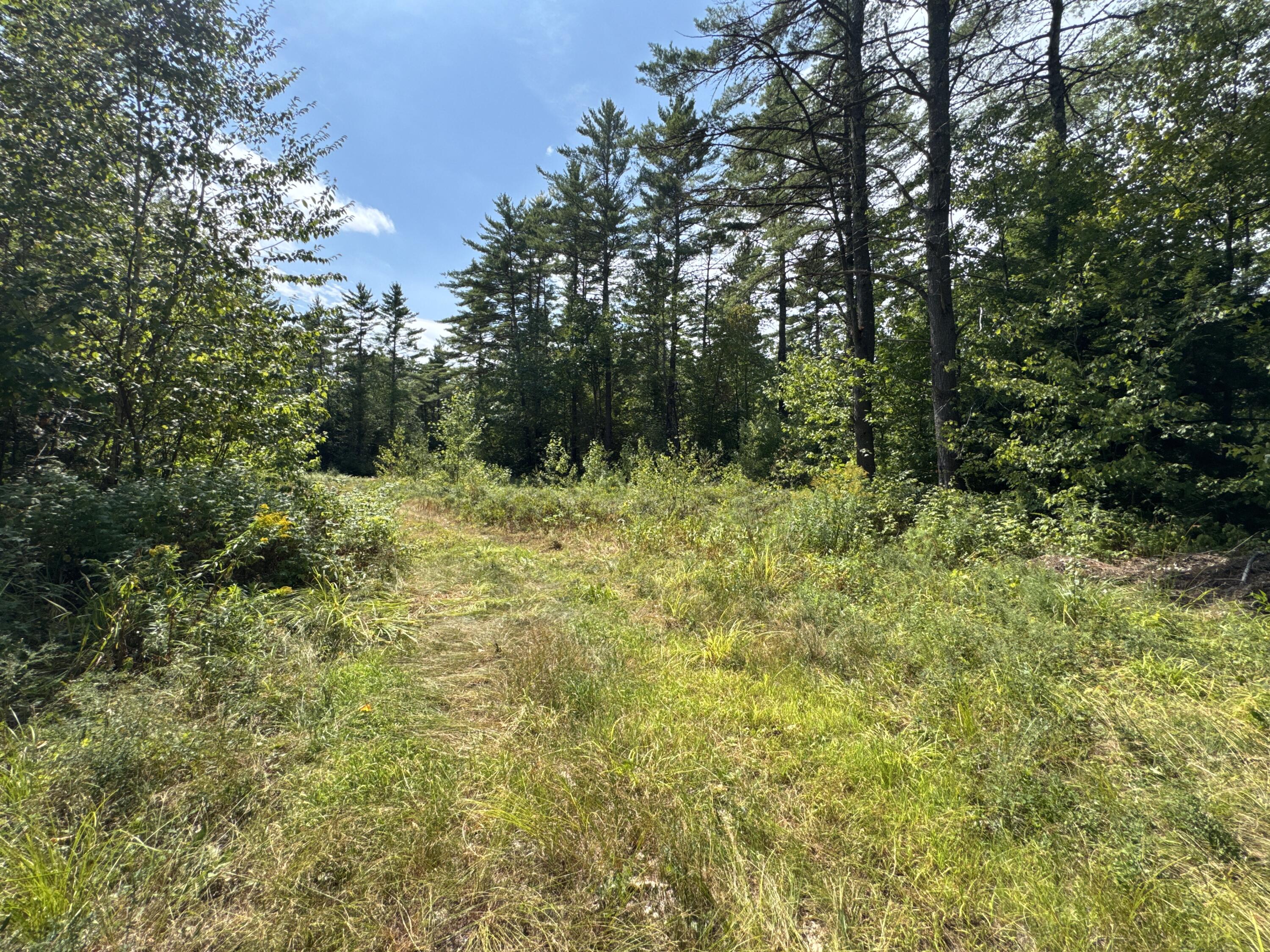 Map20-lot19 Carter Hill Road Fryeburg, ME 04037 - Photo 18 of 22 Woods trail 2