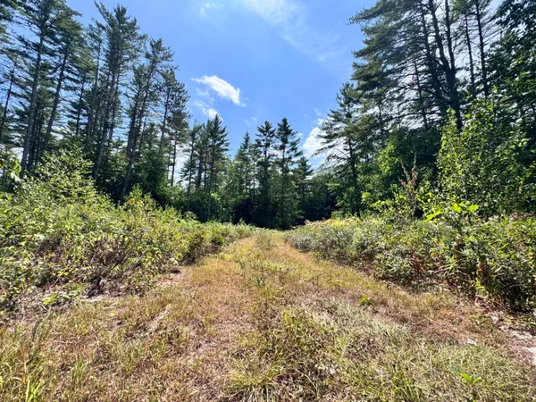 $799,000 | Map20-lot19 Carter Hill Road, Fryeburg, ME 04037