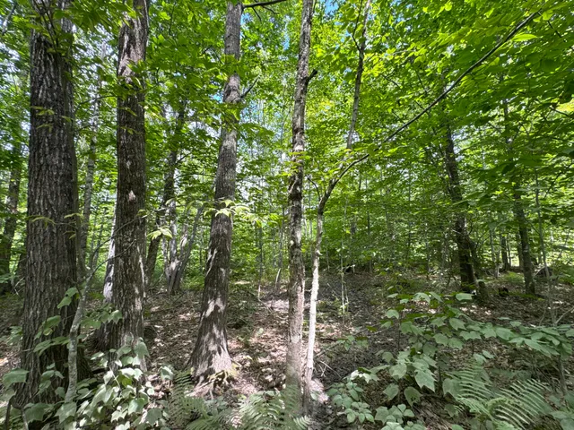 $825,000 | Map20-lot19 Carter Hill Road, Fryeburg, ME 04037