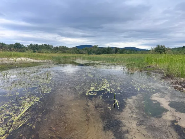 $799,000 | Map20-lot19 Carter Hill Road, Fryeburg, ME 04037