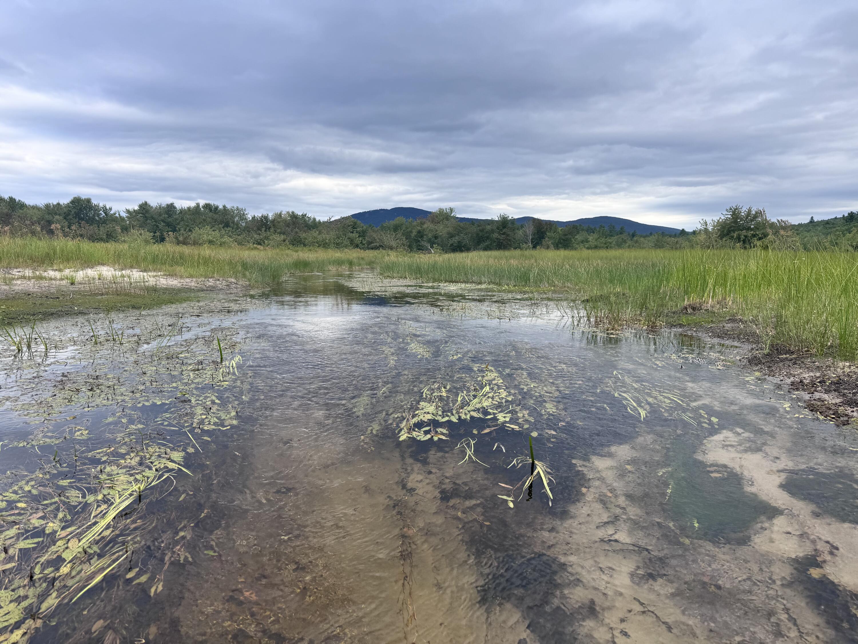 Map20-lot19 Carter Hill Road Fryeburg, ME 04037 - Photo 6 of 22 Elkins Brook