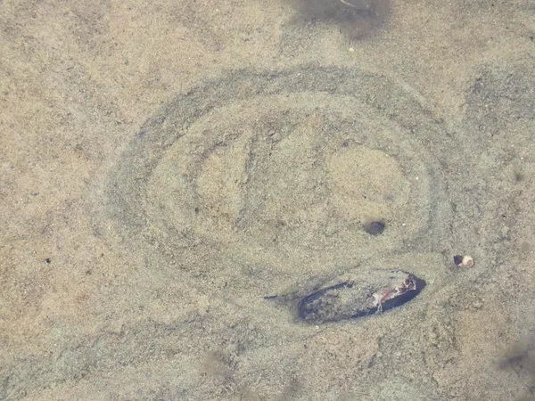 $799,000 | Map20-lot19 Carter Hill Road, Fryeburg, ME 04037