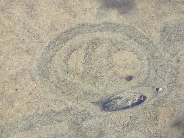 $825,000 | Map20-lot19 Carter Hill Road, Fryeburg, ME 04037