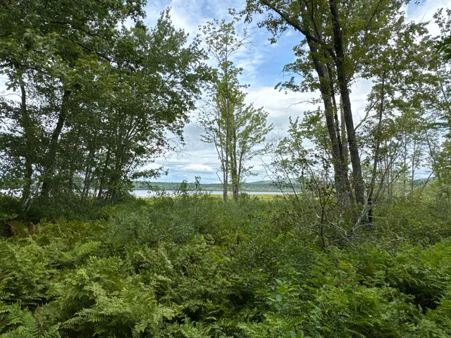 $825,000 | Map20-lot19 Carter Hill Road, Fryeburg, ME 04037
