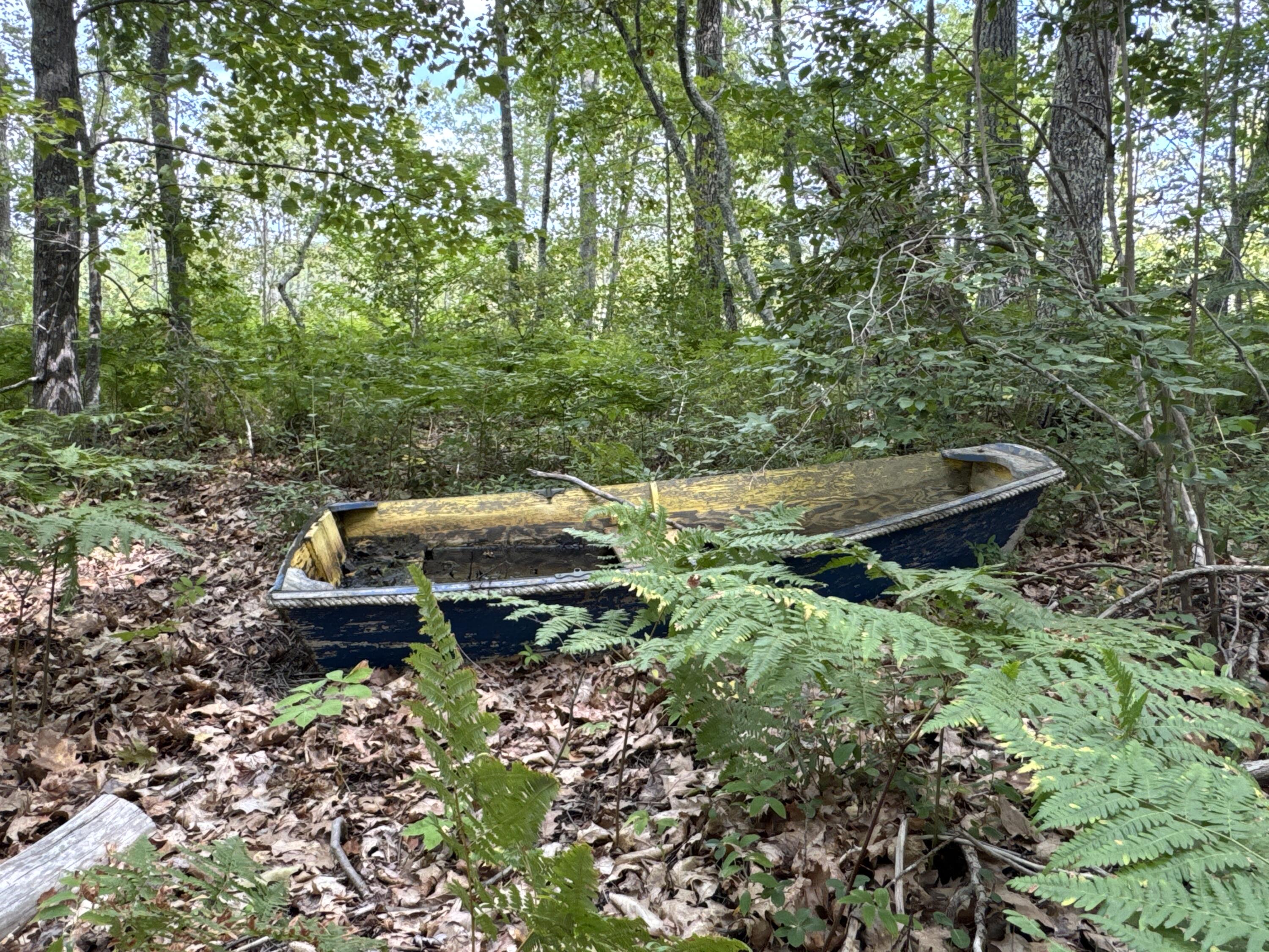 Map20-lot19 Carter Hill Road Fryeburg, ME 04037 - Photo 10 of 22 abandoned boat