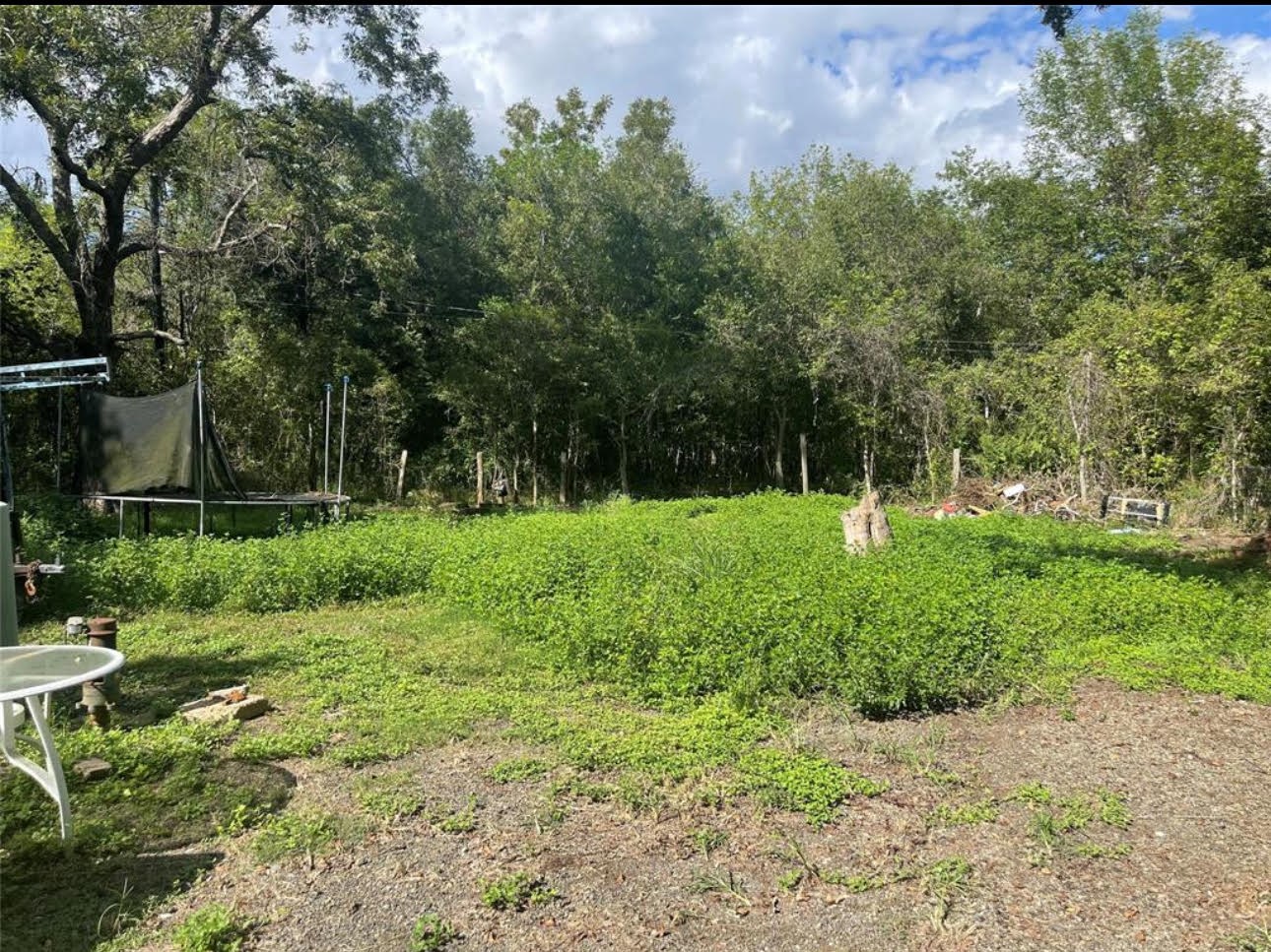 14127 FM 2759 Road Richmond, TX 77469 - Photo 3 of 7 a view of a park with large trees