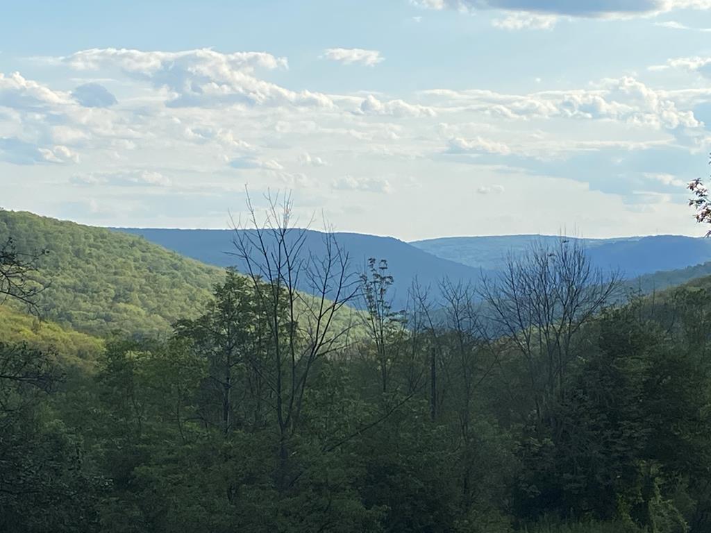 4239 McNutt Run Road Campbell, NY 14821 - Photo 1 of 1