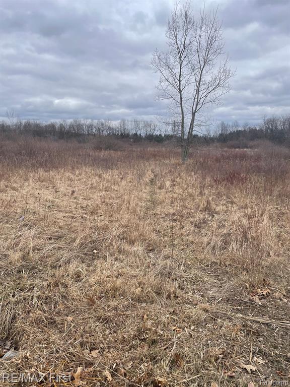 0 Brown City Road Imlay City, MI 48444 - Photo 5 of 6 Gallery Image 5