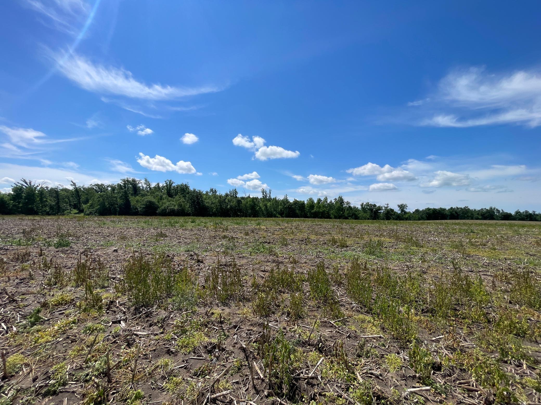 Tbd2 Boot Lake Road Southwest Bemidji, MN 56601 - Photo 45 of 54