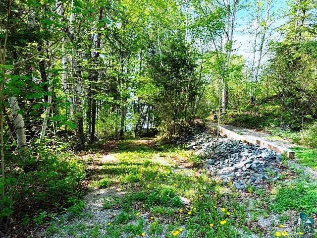 14649 Canadian Border Road Ely, MN 55731 - Photo 14 of 16 Access to lower level