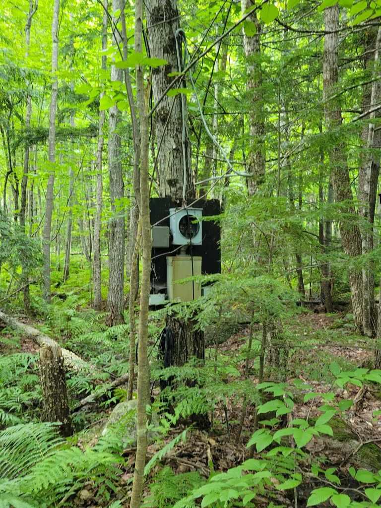 17 Iisalo Road Temple, ME 04984 - Photo 10 of 30 363880713_6555762077826807_7431787348984