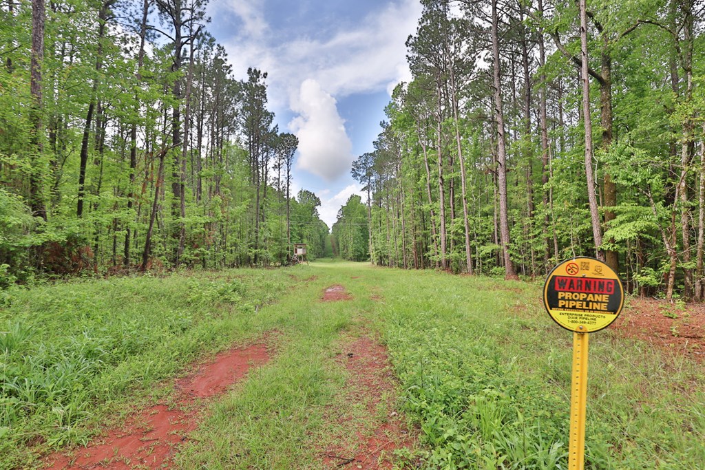 easement entrance