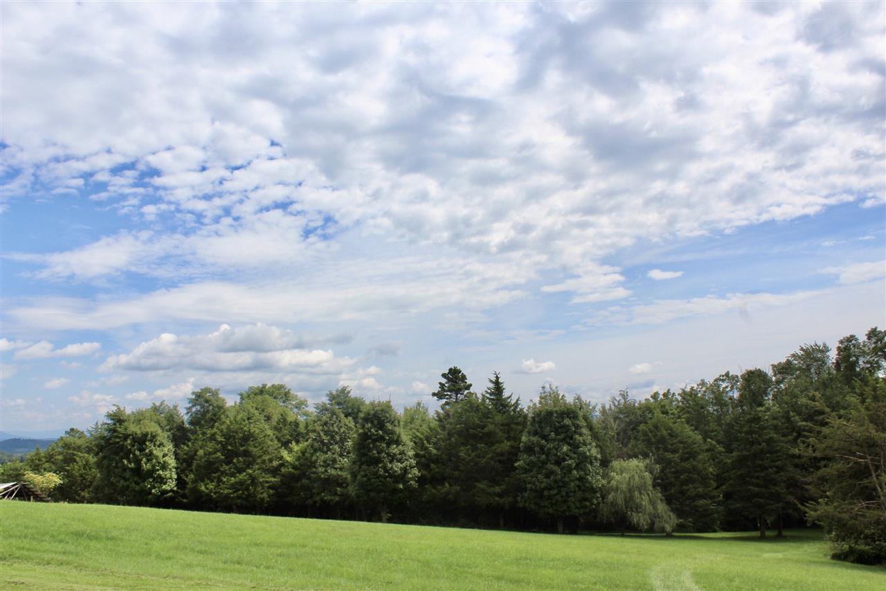 1185 Bunker Hill Road Mount Solon, VA 22843 - Photo 26 of 39 a view of a green field with lots of trees