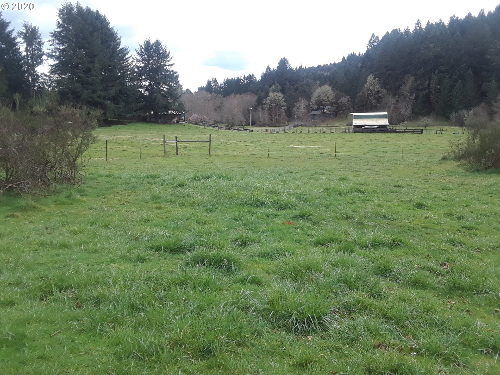 25334 Jaeg Road Junction City, OR 97448 - Photo 24 of 31 Gallery Image 24