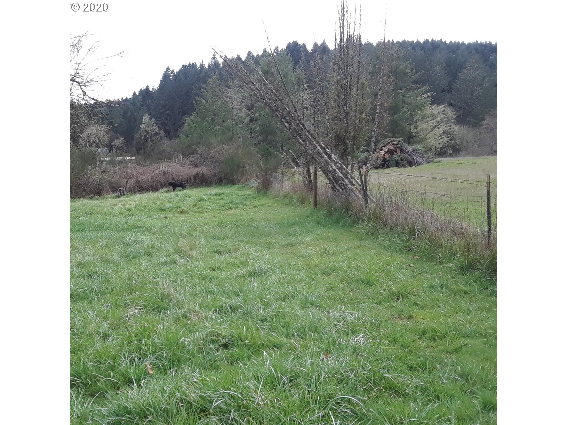 25334 Jaeg Road Junction City, OR 97448 - Photo 25 of 31 Gallery Image 25