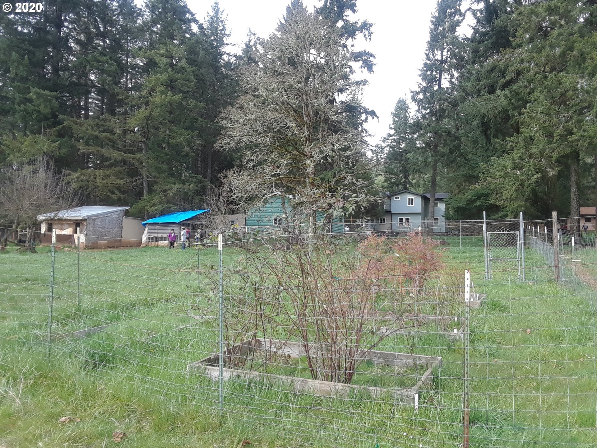 25334 Jaeg Road Junction City, OR 97448 - Photo 26 of 31 Gallery Image 26