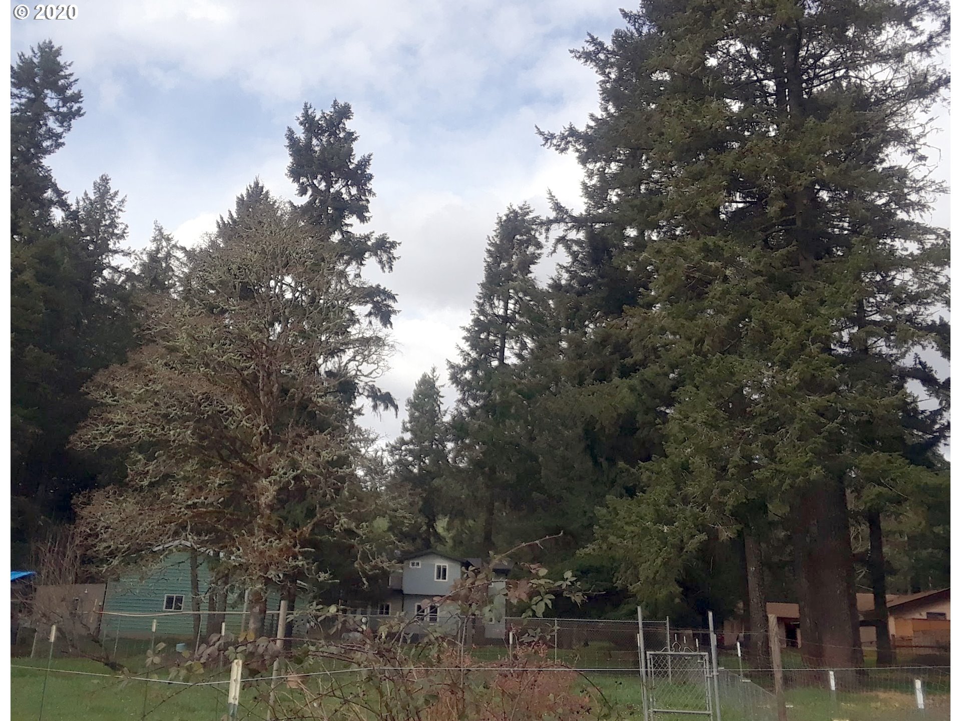 25334 Jaeg Road Junction City, OR 97448 - Photo 27 of 31 Gallery Image 27