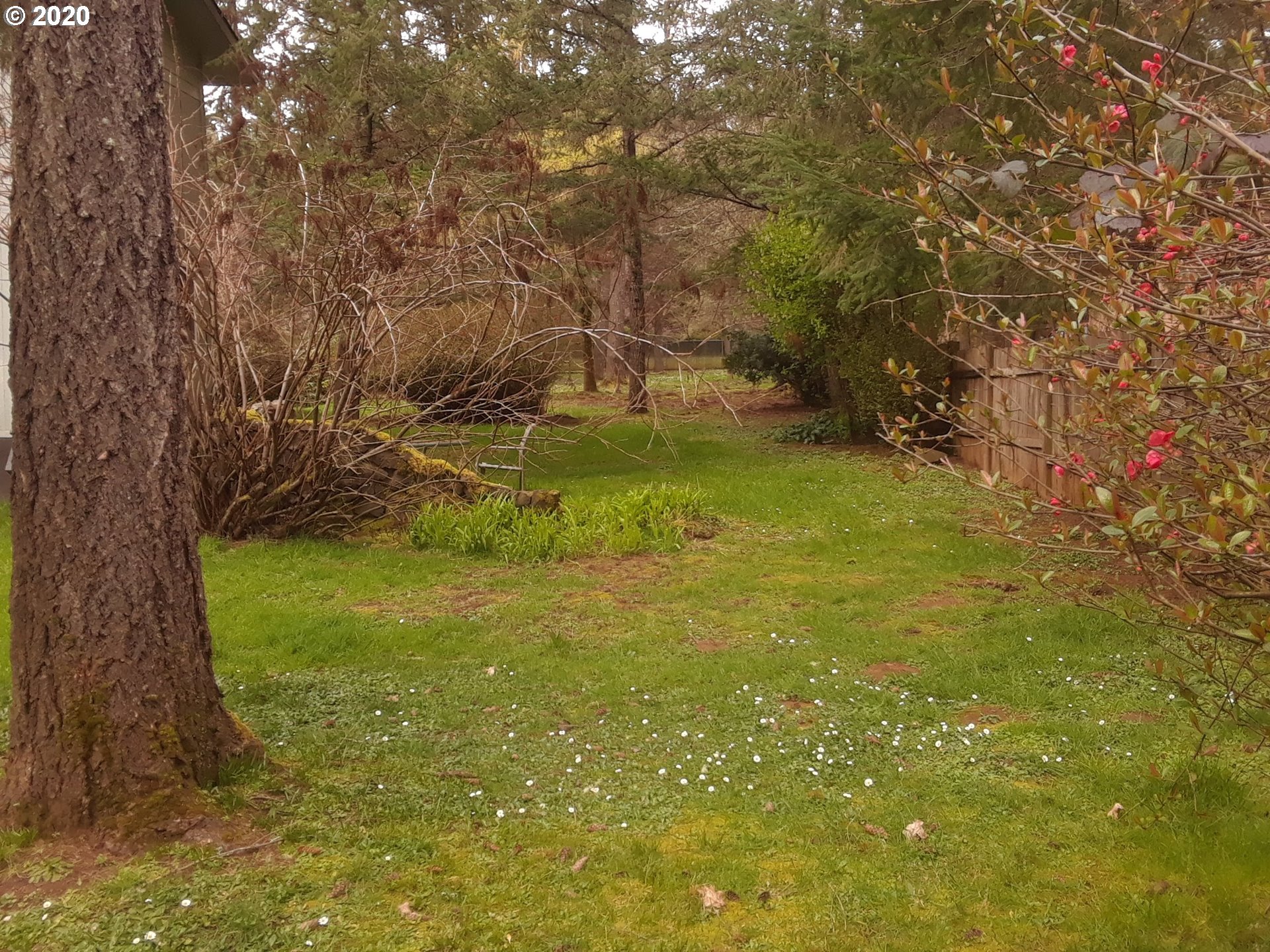 25334 Jaeg Road Junction City, OR 97448 - Photo 28 of 31 Gallery Image 28