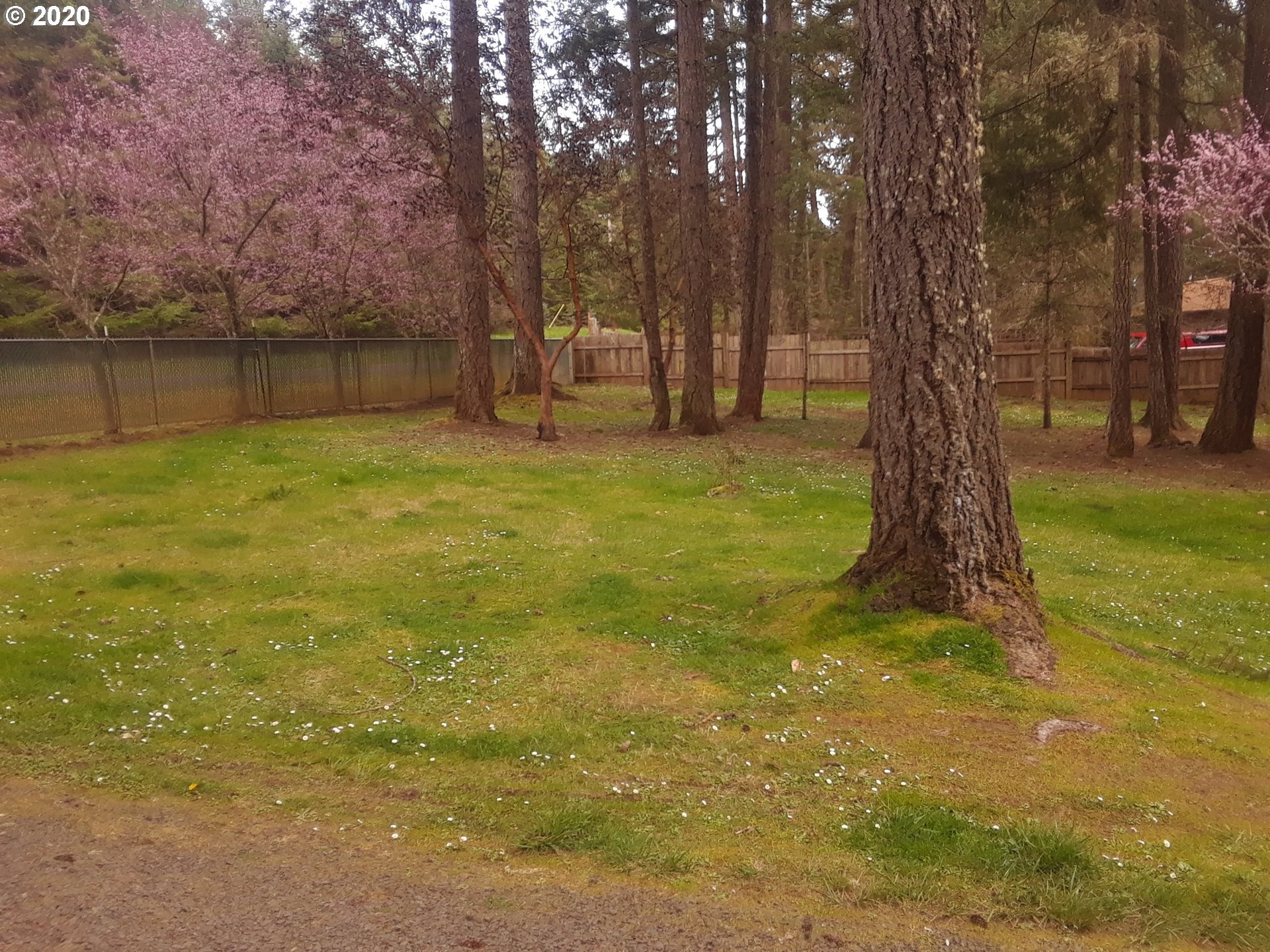 25334 Jaeg Road Junction City, OR 97448 - Photo 30 of 31 Gallery Image 30