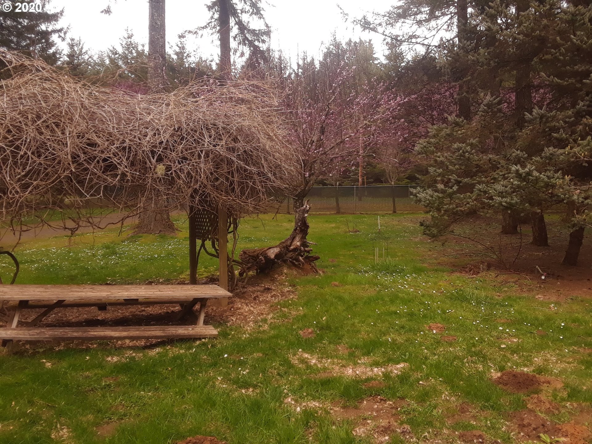 25334 Jaeg Road Junction City, OR 97448 - Photo 31 of 31 Gallery Image 31