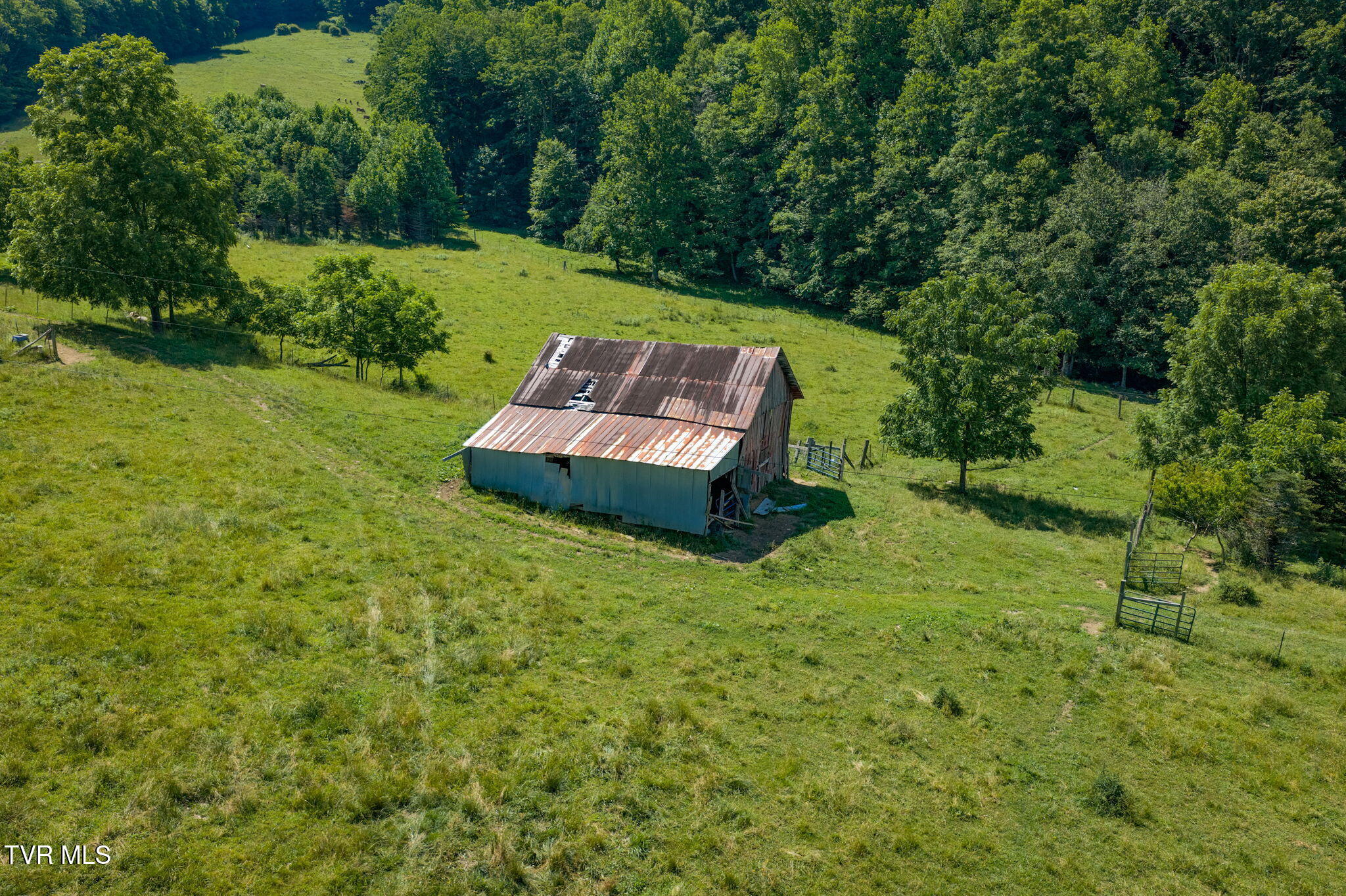 120 Teaberry Road Roan Mountain, TN 37687 - Photo 22 of 56 21-web-or-mls-DJI_20260612112231_0258_D