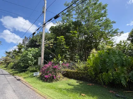 $110,000 | 2247 6th Avenue, Keaau, HI 96749
