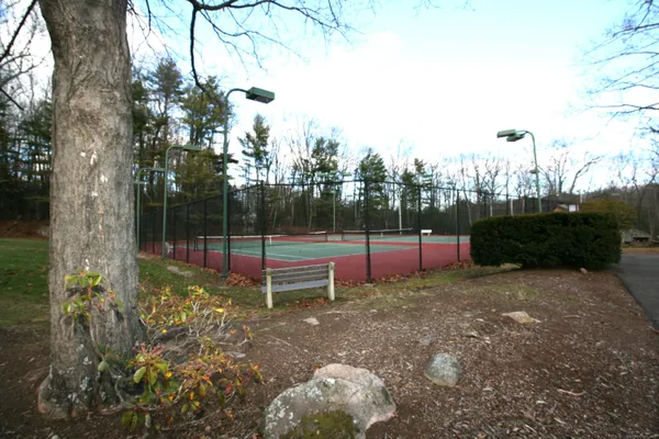 a view of a park with large trees