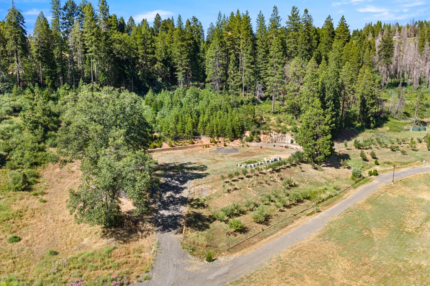 1237 Cable Road Camino, CA 95709 - Photo 7 of 87