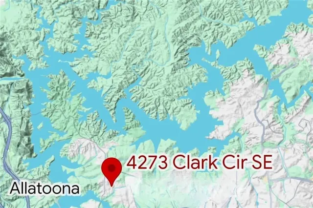 a close up of a plant