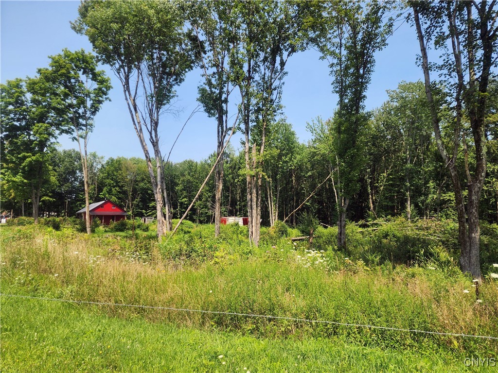 620 Albion Cross Road Pulaski, NY 13142 - Photo 19 of 20