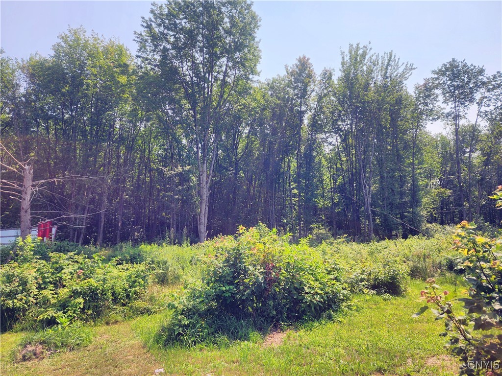 620 Albion Cross Road Pulaski, NY 13142 - Photo 5 of 20