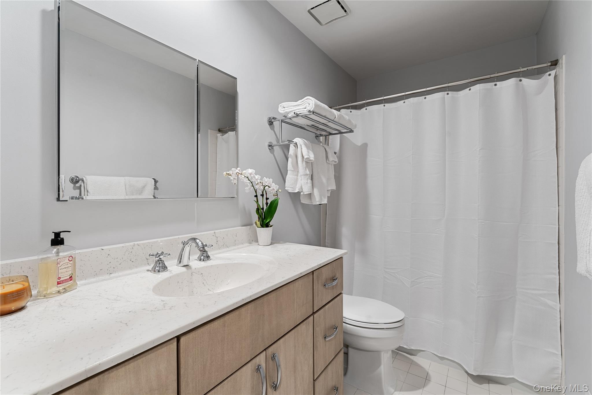 17 Ledgewood Commons Millwood, NY 10546 - Photo 12 of 22 a bathroom with a sink a toilet and shower curtain