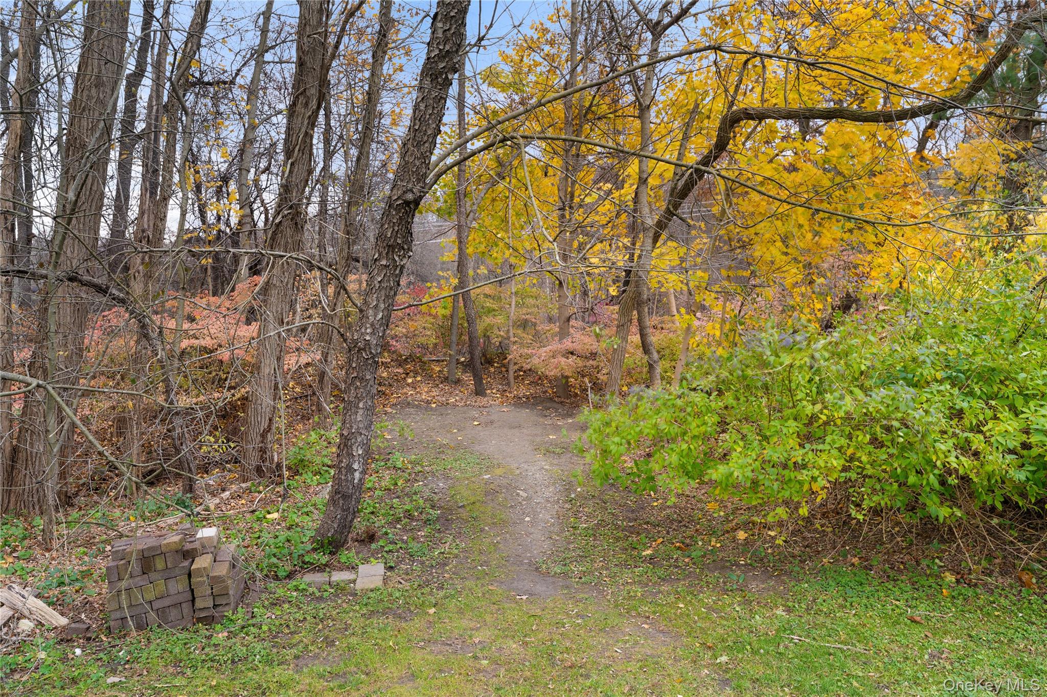 17 Ledgewood Commons Millwood, NY 10546 - Photo 17 of 22 a backyard of a house with lots of green space