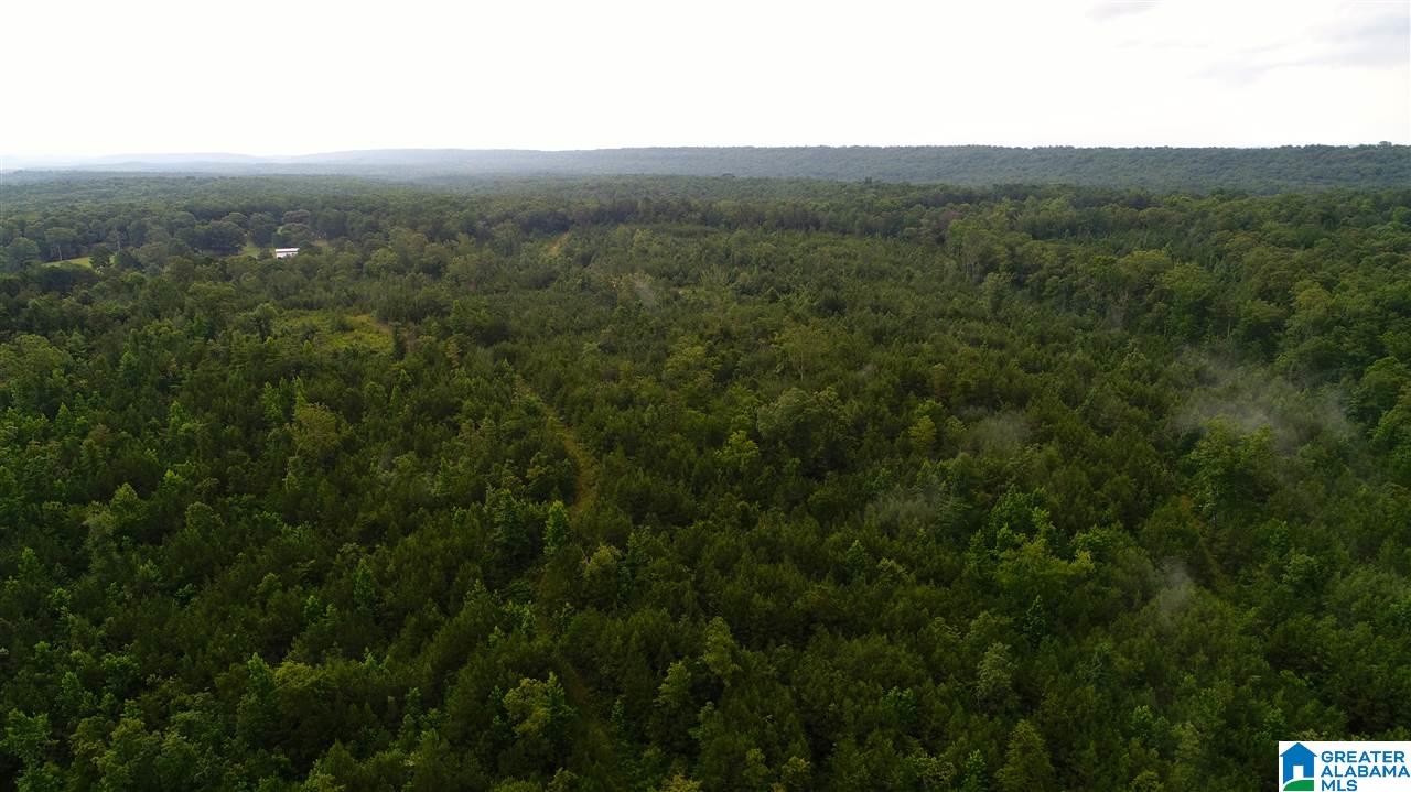 0 Alice Road McCalla, AL 35111 - Photo 7 of 9 Gallery Image 7