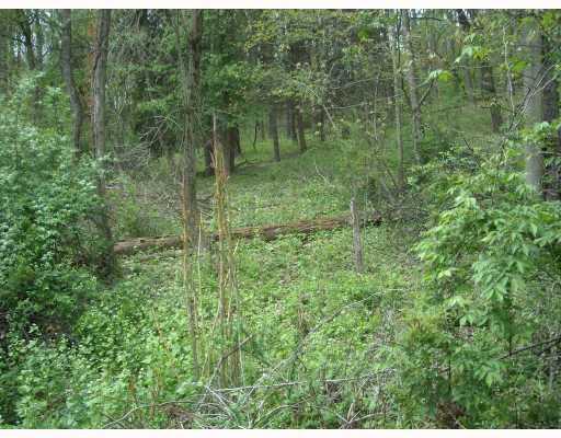 Lakeside Road Pittsburgh, PA 15238 - Photo 6 of 6 Land/Lot.