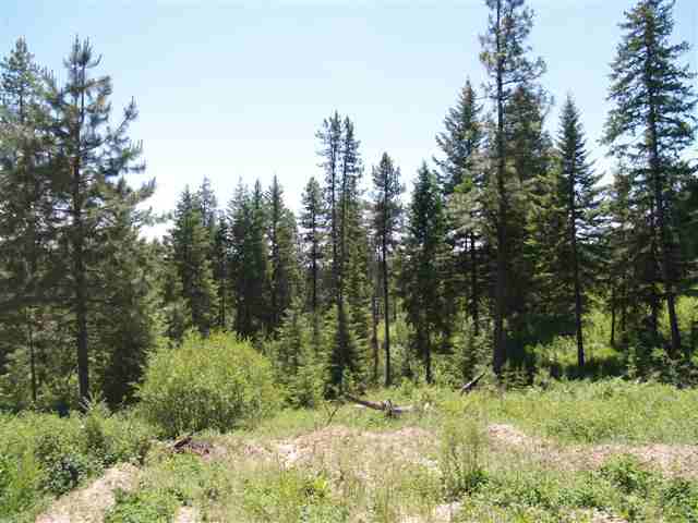 0 Rose Hill Road, Unit LOT 18 Springdale, WA 99173 - Photo 1 of 1