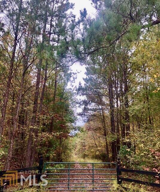 0 Silver Hill Road Summerville, GA 30747 - Photo 1 of 1 Gallery Image 1