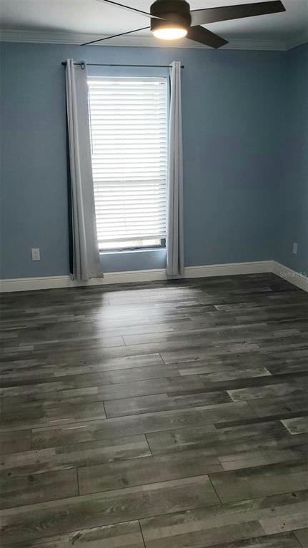 455 Alt 19, Unit 15 Palm Harbor, FL 34683 - Photo 12 of 34