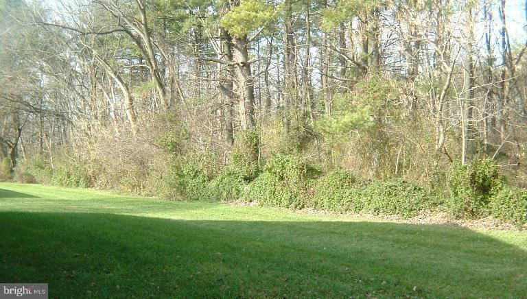 7024 Basswood Road Frederick, MD 21703 - Photo 9 of 12