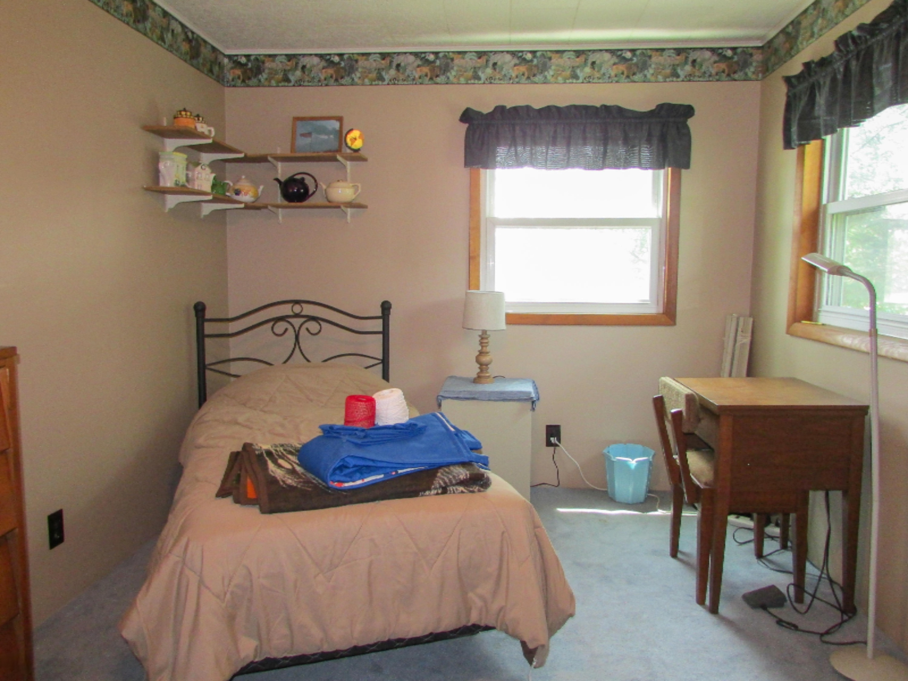 917 Pleasant Ridge Road Quincy, MI 49082 - Photo 11 of 23 IMG_8739