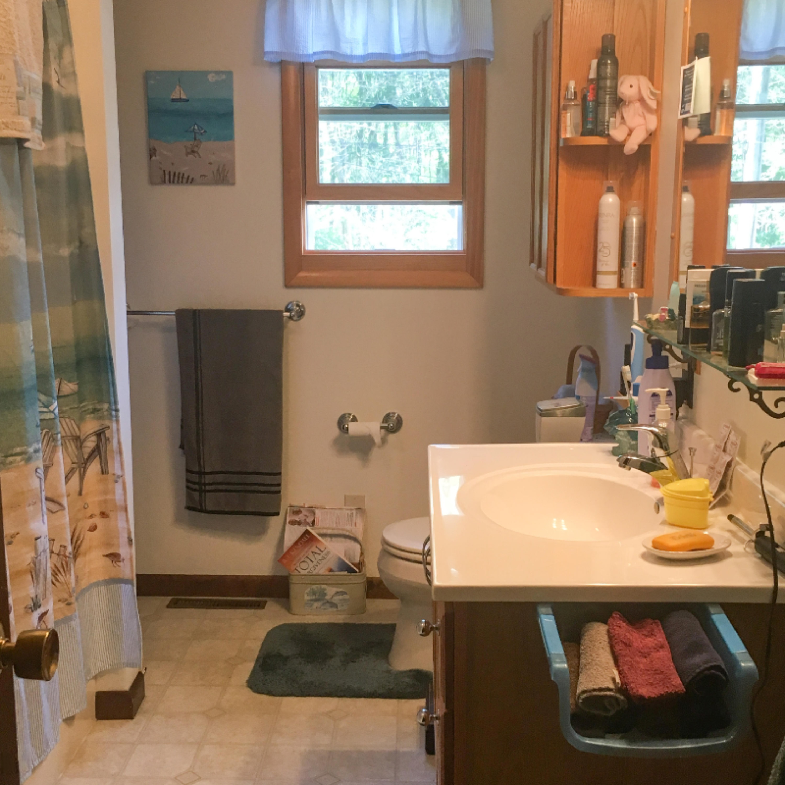 917 Pleasant Ridge Road Quincy, MI 49082 - Photo 12 of 23 IMG_2268