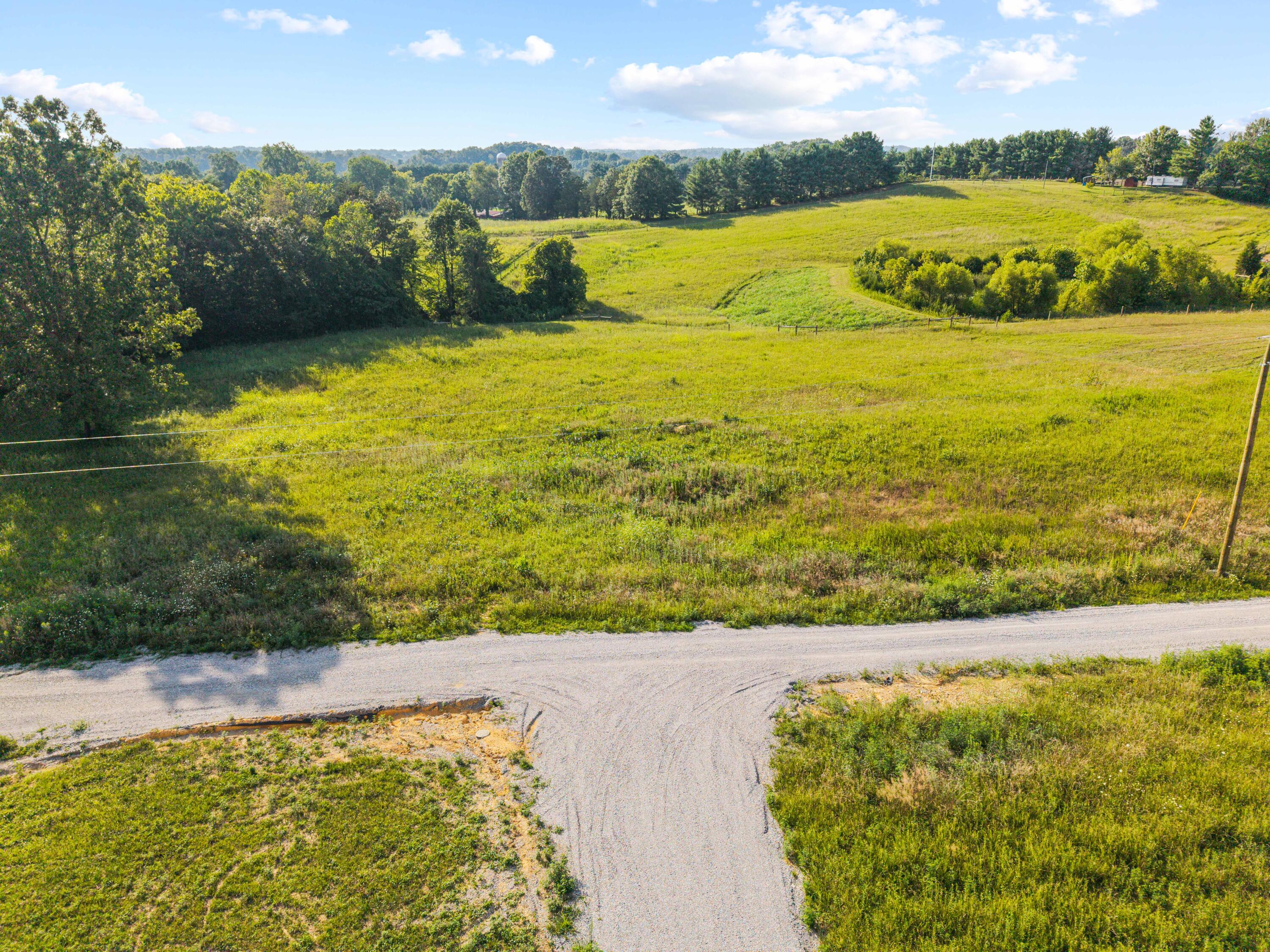 Lot 38 Spring Branch Hollow Road Nancy, KY 42544 - Photo 4 of 13 Spring Branch Lot Photo-05