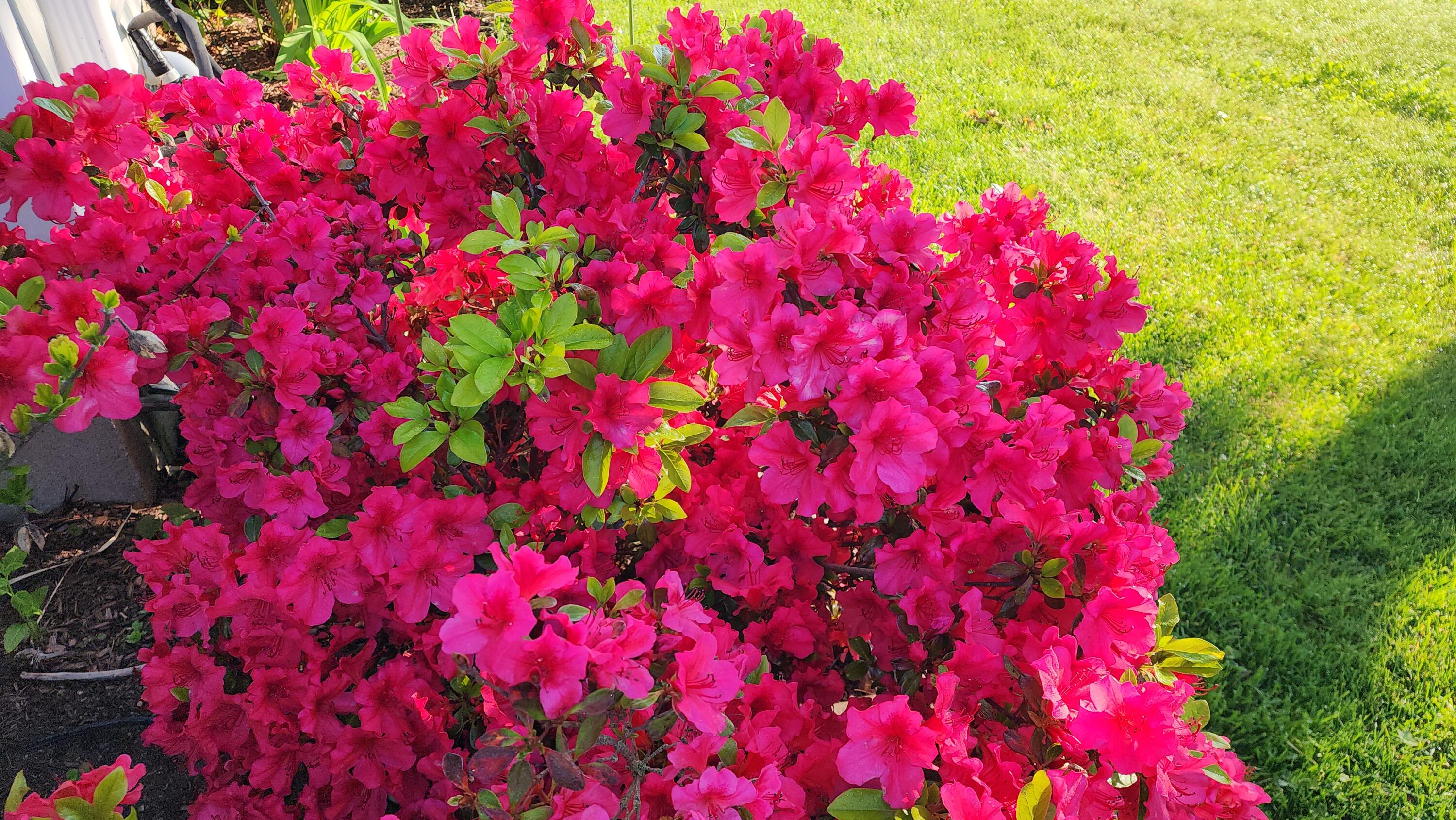 18 Riverview Road Bath, ME 04530 - Photo 54 of 59 20250603_065624