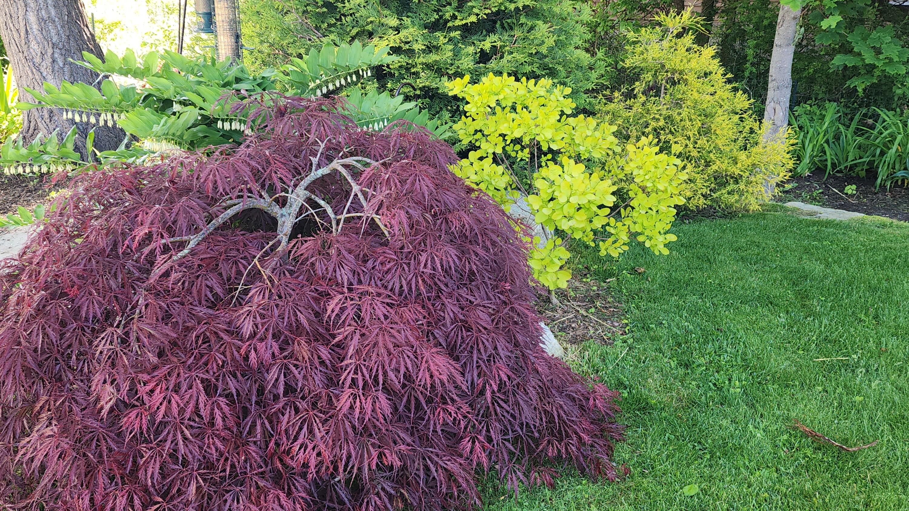18 Riverview Road Bath, ME 04530 - Photo 55 of 59 20250603_065709