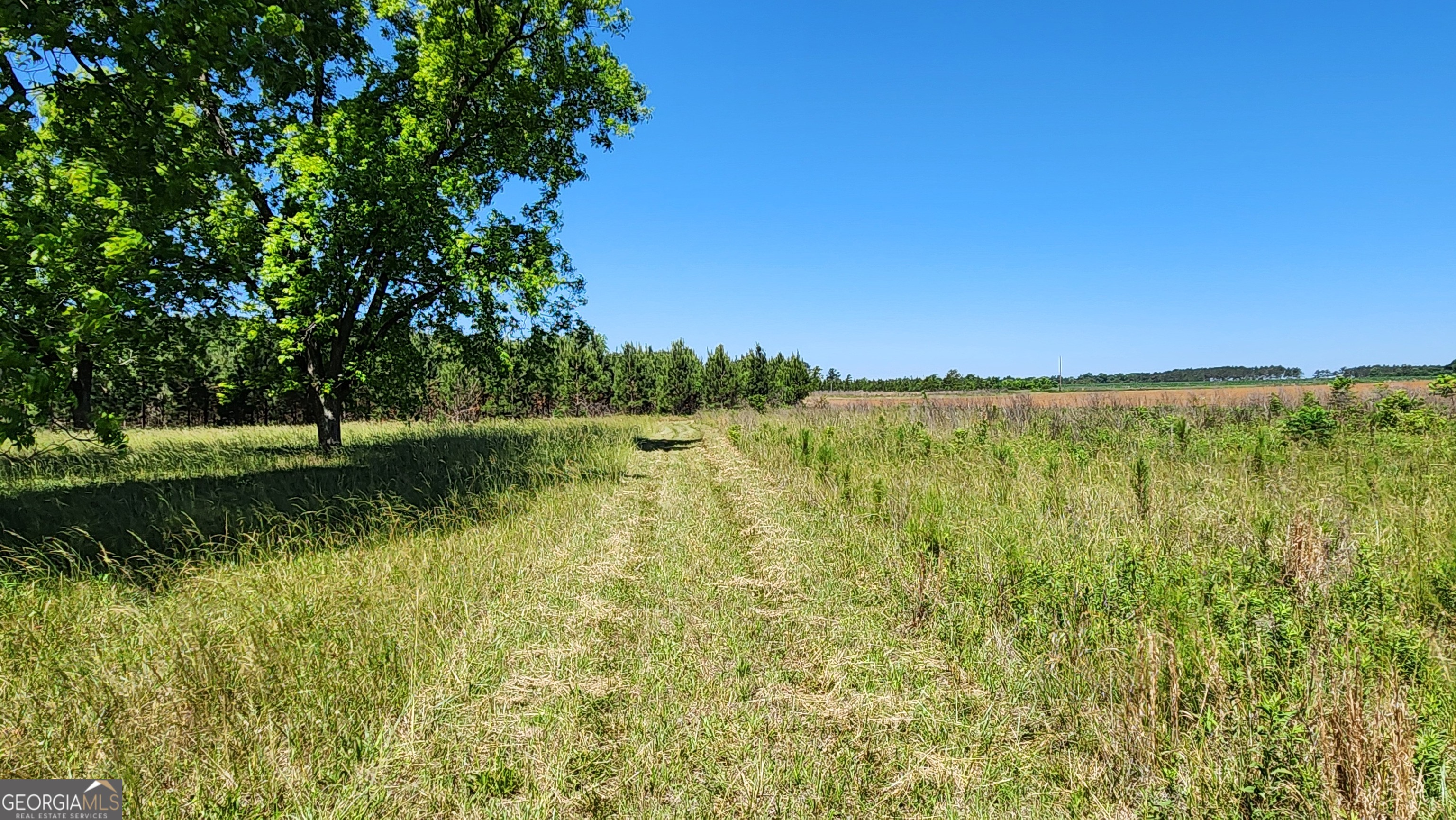 246 Melton Mill Road Dawson, GA 39842 - Photo 70 of 78