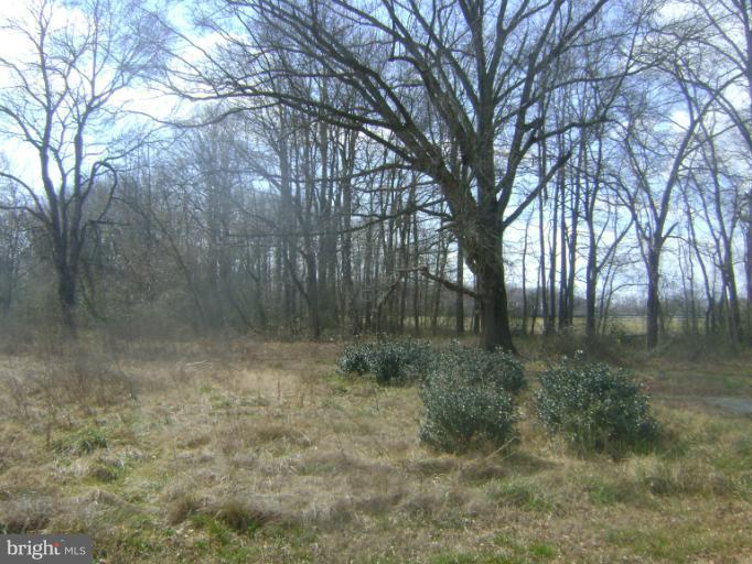 Peaviner Ridgely, MD 21660 - Photo 2 of 4 LOT