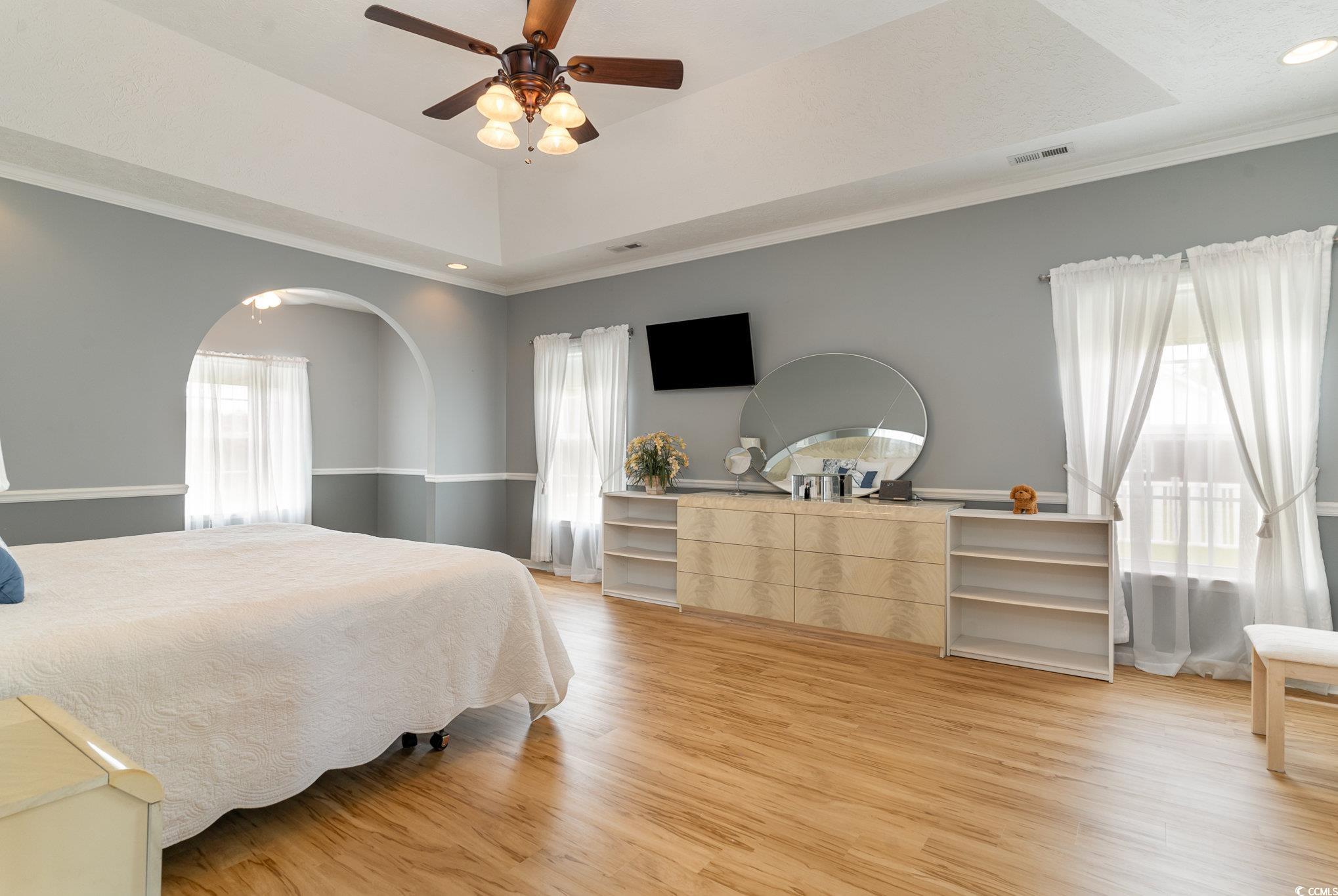 1168 Floyd Page Road Galivants Ferry, SC 29544 - Photo 17 of 37 Bedroom with ceiling fan, a tray ceiling, light ha