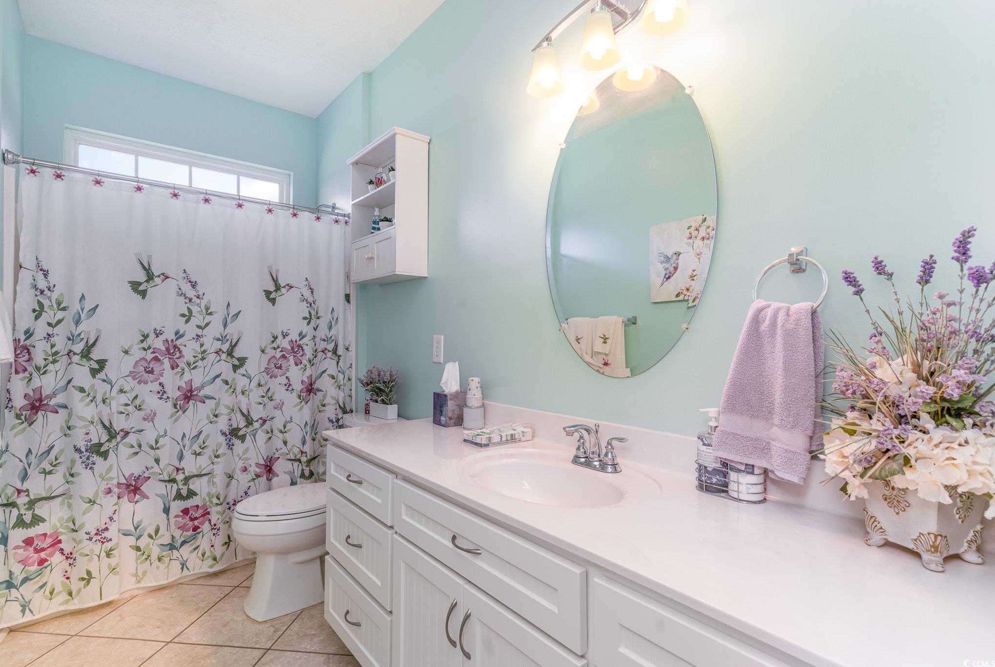 1168 Floyd Page Road Galivants Ferry, SC 29544 - Photo 24 of 37 Bathroom with vanity, toilet, and tile patterned f